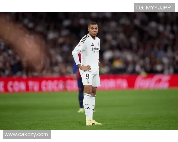 法国足球明星排名榜揭秘 球员实力与成就一览