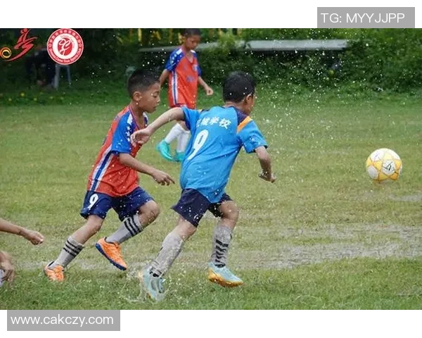 绿茵逐梦聚焦球星风采畅谈赛场内外精彩故事