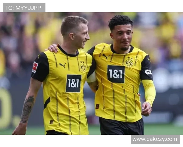 被杀害的足球球星：揭示他们悲剧性命运背后的真相与未解之谜